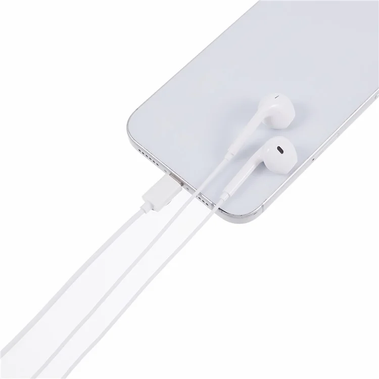 WEKOME YB03 kabelgebundene In-Ear-Kopfhörer mit Typ-C-Anschluss, HiFi-Stereo, 10-mm-Treiber