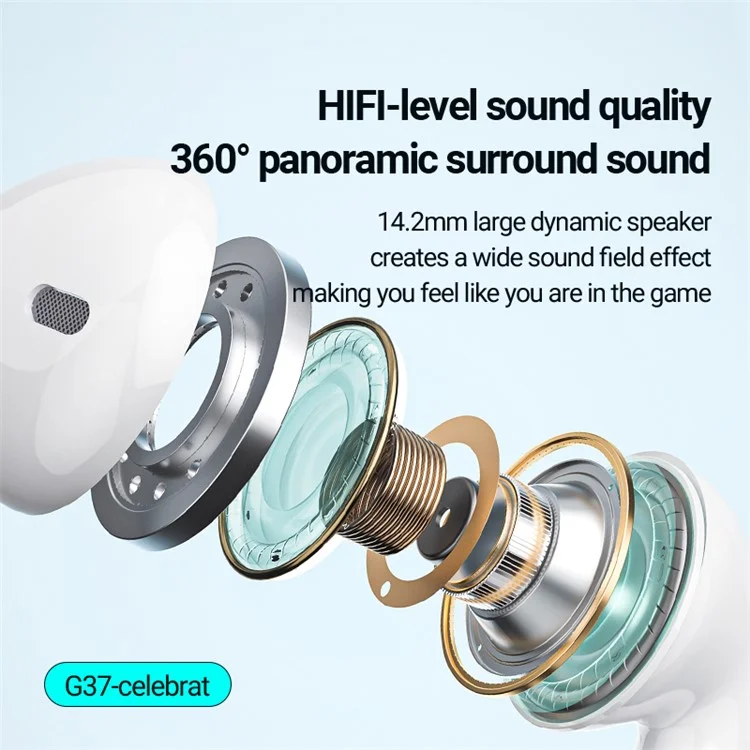 CELEBRAT G37 Type C Wired Earphones Digital Decoding HiFi Audio Semi In Ear Music Headphones - Black