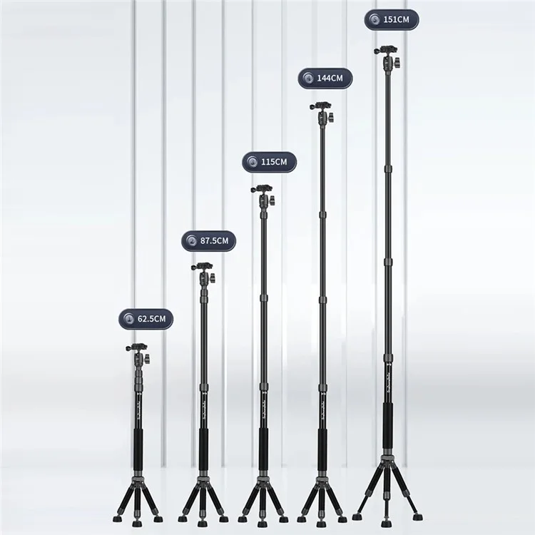 QZSD Q116 Télescopic Phone Camera Holder Selfie Stick Tripod Desktop Floor Floor Support de Streaming en Direct