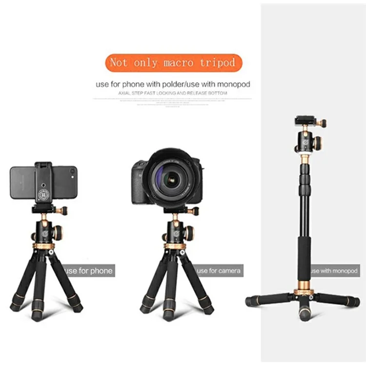 QZSD Q166Z Mini Allime D'allime Portable + Abs SLR Came Camere Stand Trépied