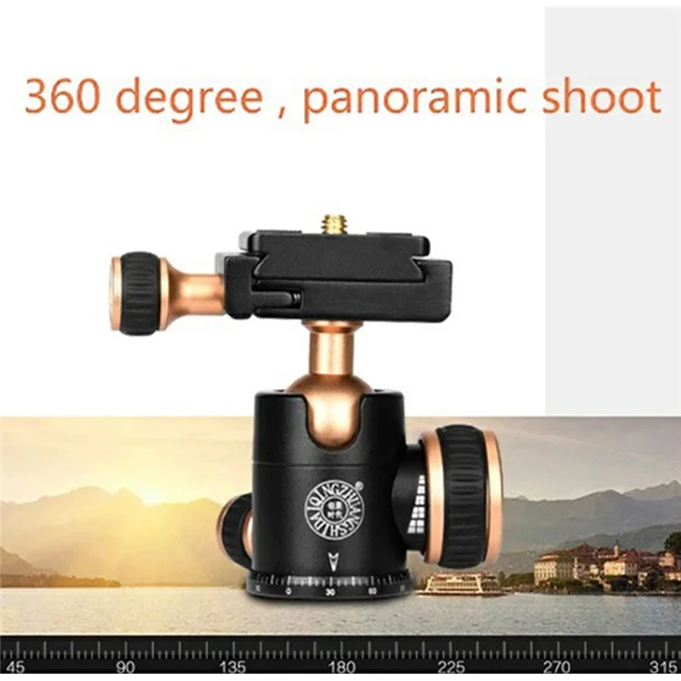 QZSD Q166Z Mini Allime D'allime Portable + Abs SLR Came Camere Stand Trépied