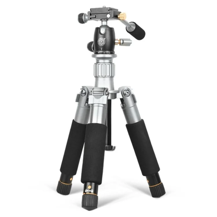 QZSD Q166D SLR Came Camer - Gris