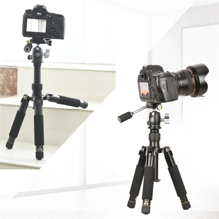 QZSD Q166D SLR Came Camer - Gris