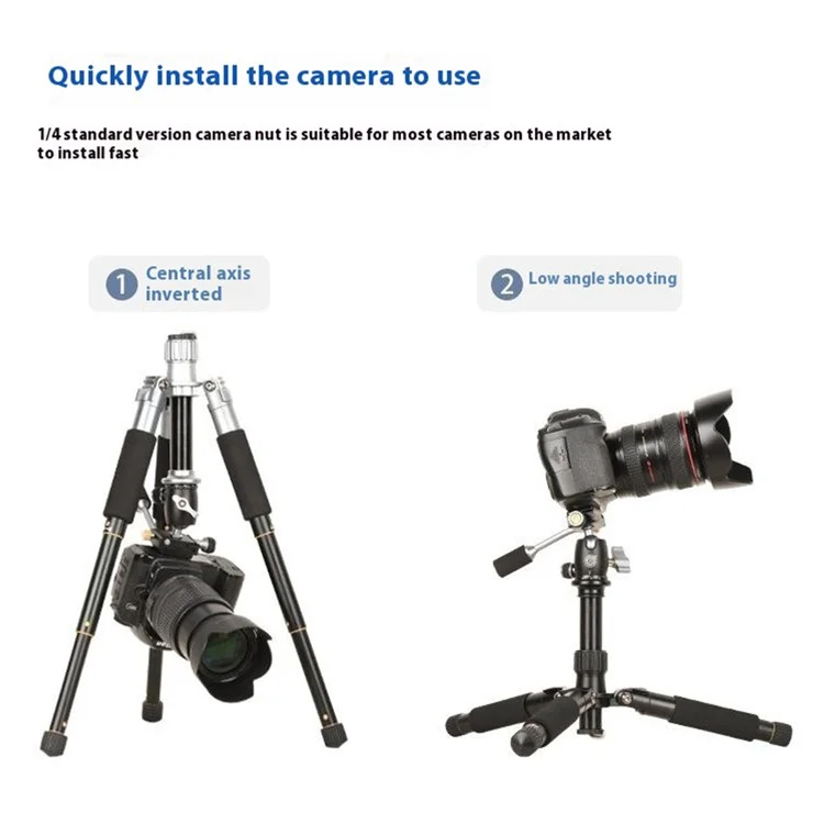 QZSD Q166D SLR Came Camer - Gris