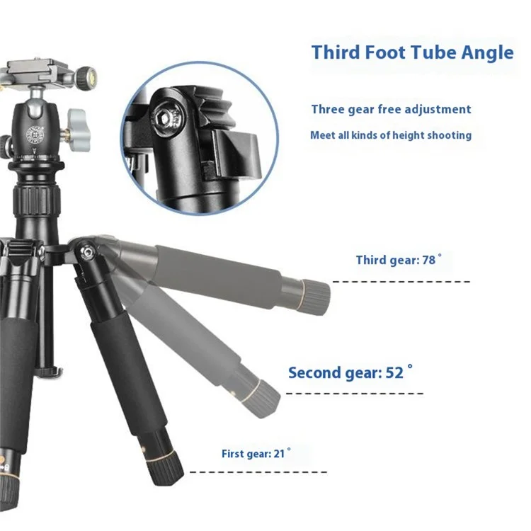 QZSD Q166D SLR Came Camer - Gris