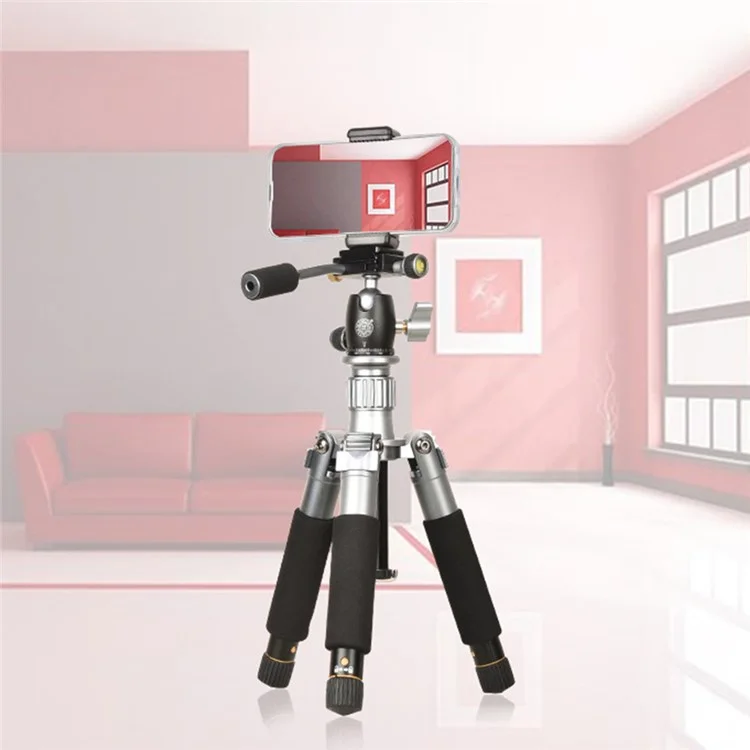 QZSD Q166D SLR Came Camer - Gris