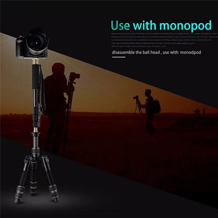 QZSD 8KG Max Load Carbon Fiber Mini Treppiede con Testa a Sfera Rotante a 360 Gradi per Fotocamere DSLR