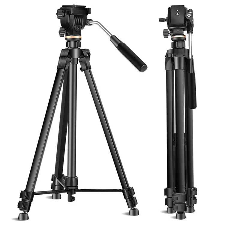 QZSD Q1750 174cm Porte-téléphone pour appareil photo reflex Support de caméra en alliage d'aluminium + ABS Trépied télescopique Live Streaming Photographie