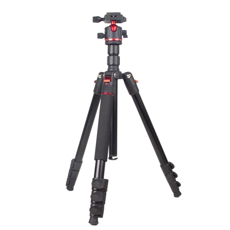 Zomei Q173 Tripod Tripod 4-Section Rétractable Trépied Multi-fonction Micro SLR Phone Mobile Streaming Live Streaming