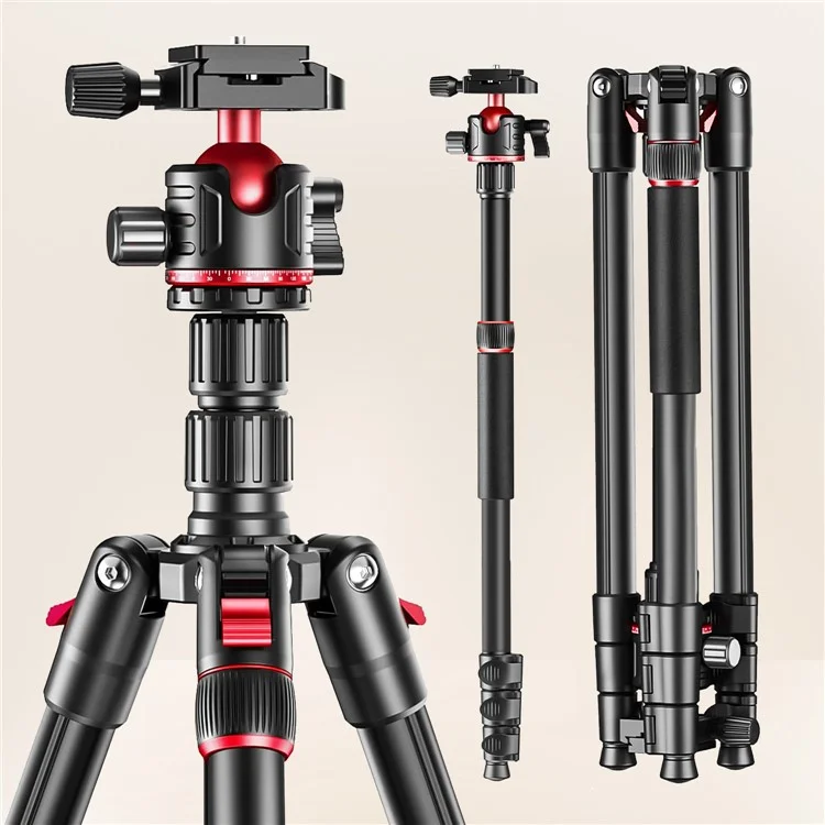 Zomei Q173 Tripod Tripod 4-Section Rétractable Trépied Multi-fonction Micro SLR Phone Mobile Streaming Live Streaming