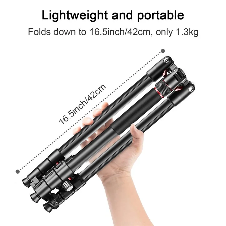 Zomei Q173 Tripod Tripod 4-Section Rétractable Trépied Multi-fonction Micro SLR Phone Mobile Streaming Live Streaming