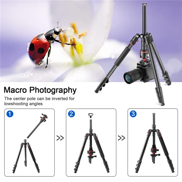 Zomei Q173 Tripod Tripod 4-Section Rétractable Trépied Multi-fonction Micro SLR Phone Mobile Streaming Live Streaming