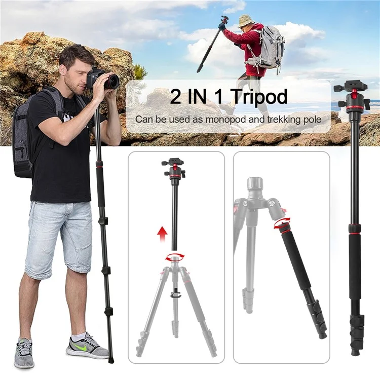 Zomei Q173 Tripod Tripod 4-Section Rétractable Trépied Multi-fonction Micro SLR Phone Mobile Streaming Live Streaming
