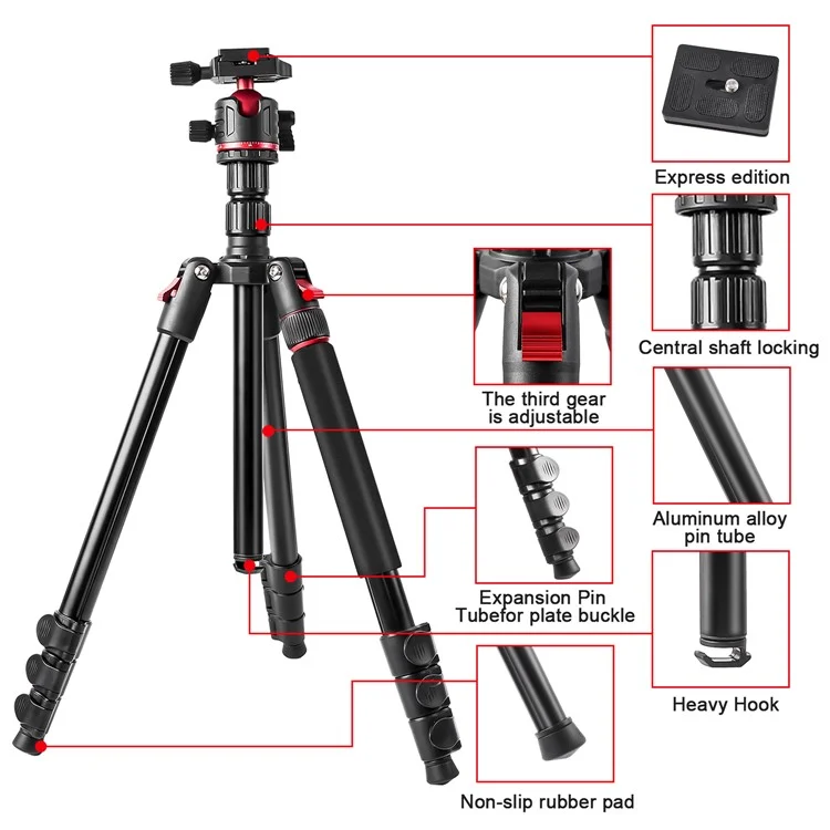 Zomei Q173 Tripod Tripod 4-Section Rétractable Trépied Multi-fonction Micro SLR Phone Mobile Streaming Live Streaming