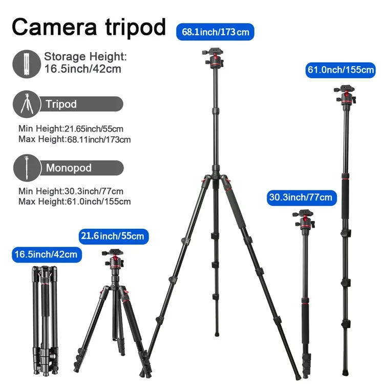 Zomei Q173 Tripod Tripod 4-Section Rétractable Trépied Multi-fonction Micro SLR Phone Mobile Streaming Live Streaming