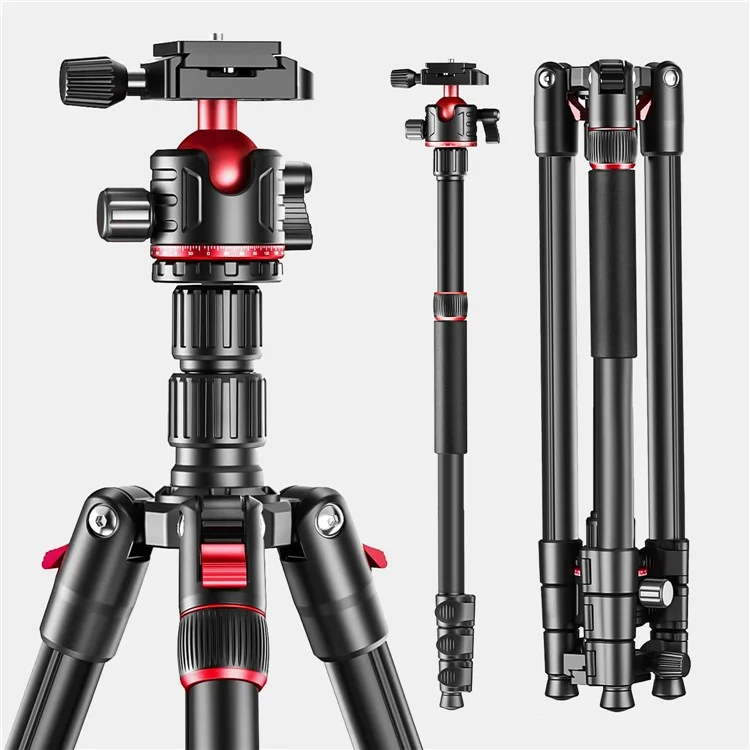 Zomei Q173 Tripod Tripod 4-Section Rétractable Trépied Multi-fonction Micro SLR Phone Mobile Streaming Live Streaming