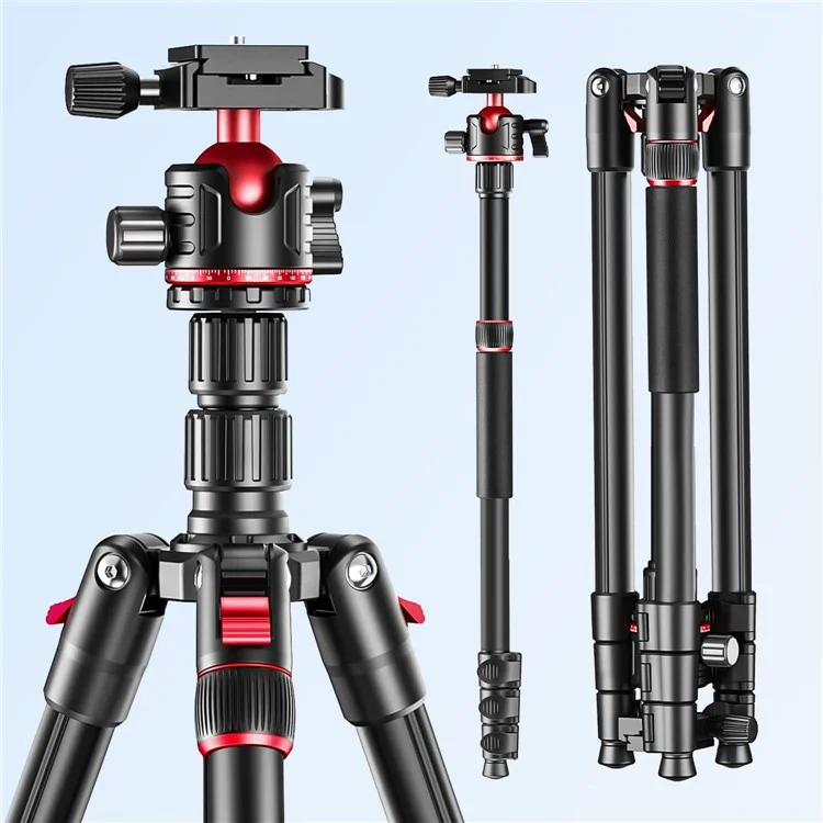 Zomei Q173 Tripod Tripod 4-Section Rétractable Trépied Multi-fonction Micro SLR Phone Mobile Streaming Live Streaming