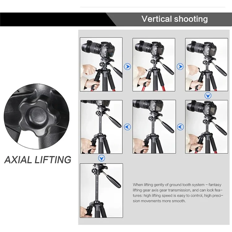 ZOMEI Q188 Camera Trípode SLR Camera Stand Teléfono Móvil Soporte de Transmisión en Vivo Proyector de Relleno de Luz - Negro