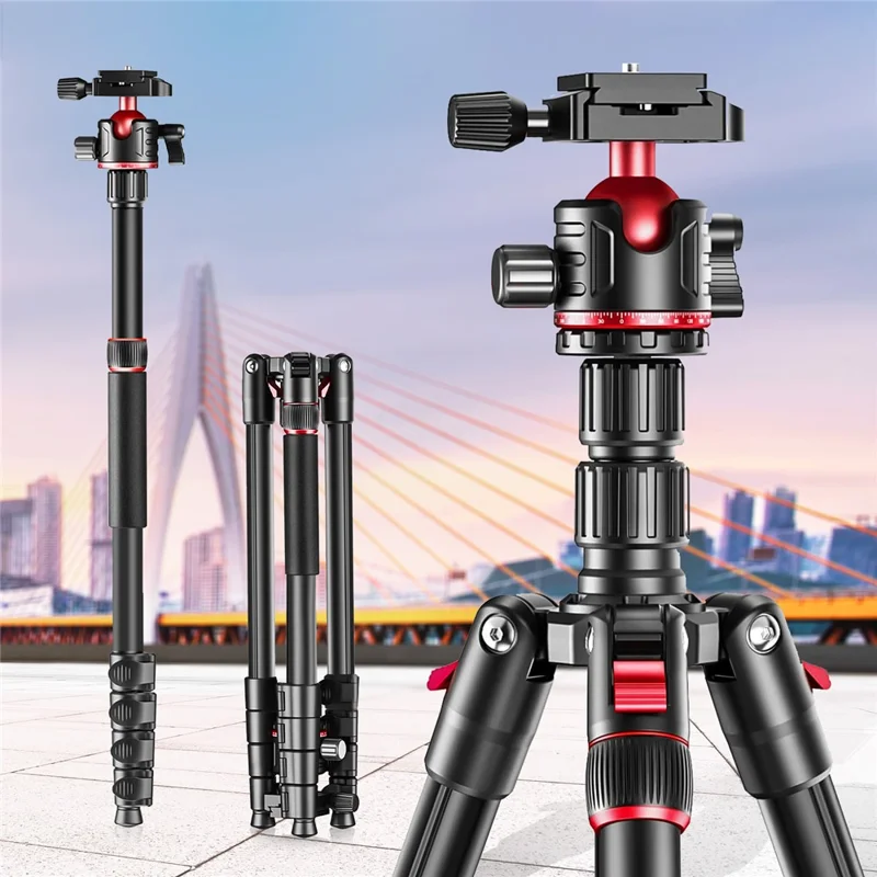 ZOMEI G200 Camera Tripod 2m 5-Section Multi-Function Folding Stand Universal Mobile Phone Live Broadcast Bracket