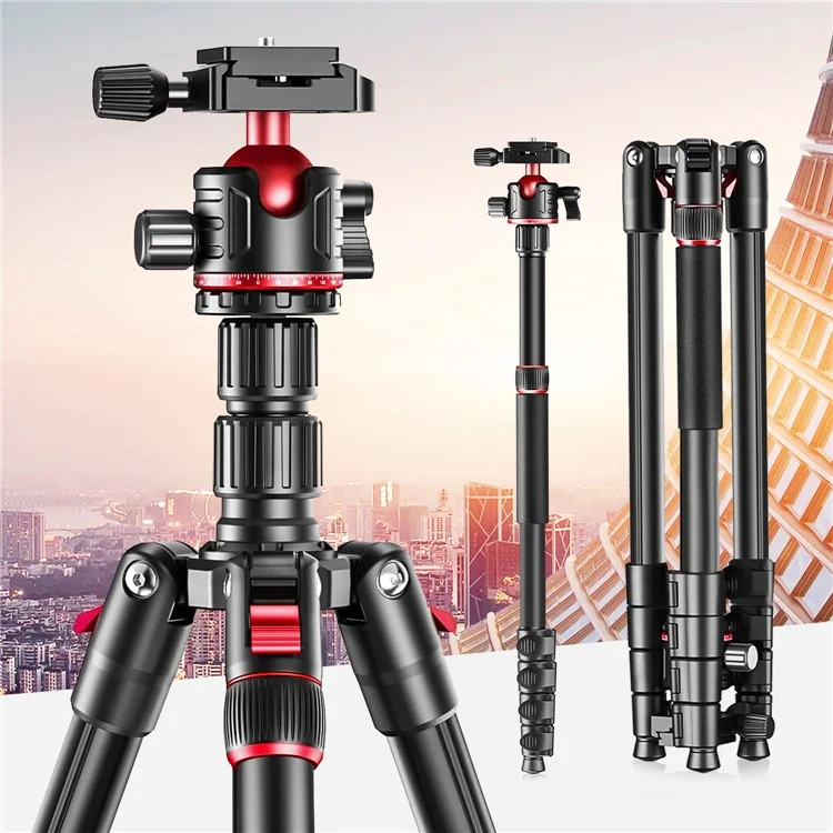 ZOMEI G200 Camera Tripod 2m 5-Section Multi-Function Folding Stand Universal Mobile Phone Live Broadcast Bracket