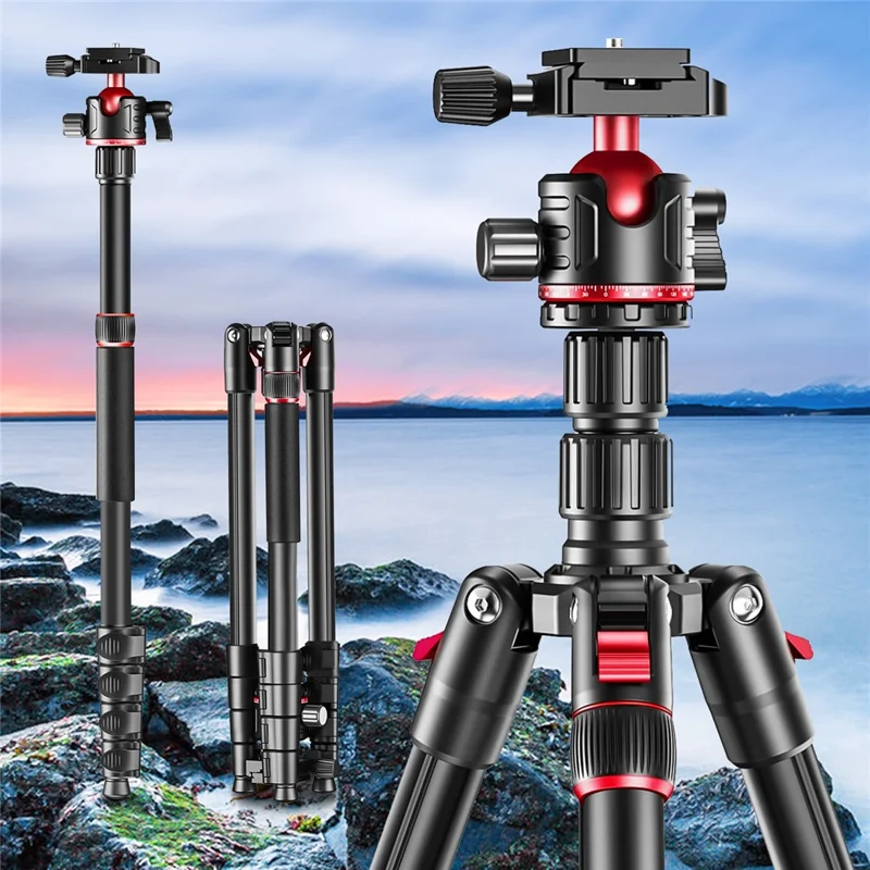 ZOMEI G200 Camera Tripod 2m 5-Section Multi-Function Folding Stand Universal Mobile Phone Live Broadcast Bracket