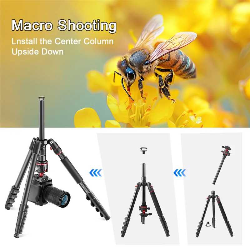 ZOMEI G200 Camera Tripod 2m 5-Section Multi-Function Folding Stand Universal Mobile Phone Live Broadcast Bracket