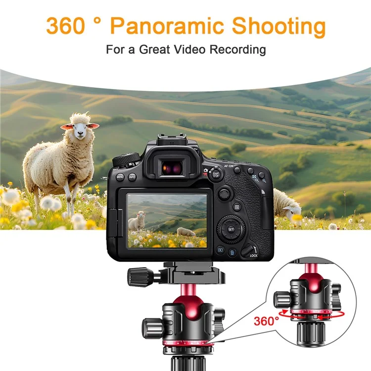 ZOMEI G200 Camera Tripod 2m 5-Section Multi-Function Folding Stand Universal Mobile Phone Live Broadcast Bracket