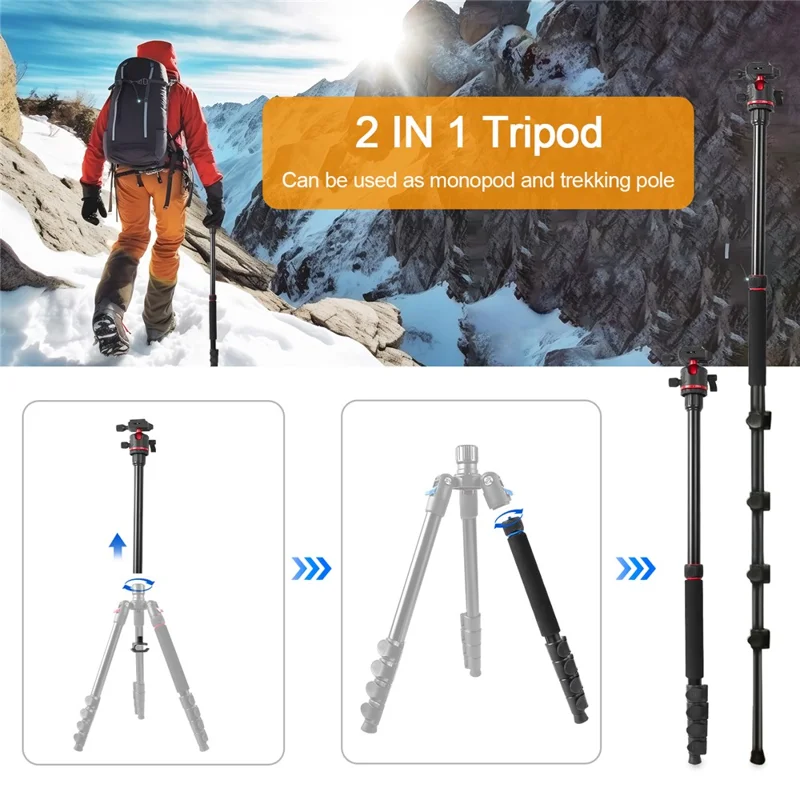 ZOMEI G200 Camera Tripod 2m 5-Section Multi-Function Folding Stand Universal Mobile Phone Live Broadcast Bracket