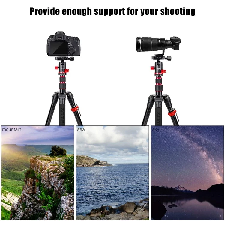 ZOMEI M5 Photo Camera Lightweight Travel Aluminum Tripod Monopod Compact Portable Photo 4-Section Tripod Stand, Black