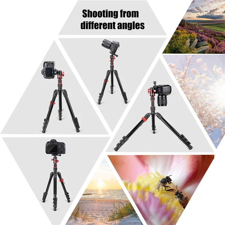 ZOMEI M5 Photo Camera Lightweight Travel Aluminum Tripod Monopod Compact Portable Photo 4-Section Tripod Stand, Black