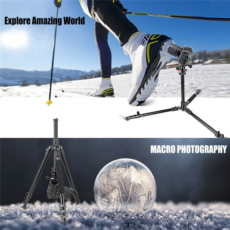 ZOMEI M6 Camera Tripod Mobile Phone Live Broadcast Bracket Aluminum Alloy 4-Section Tripod Stand