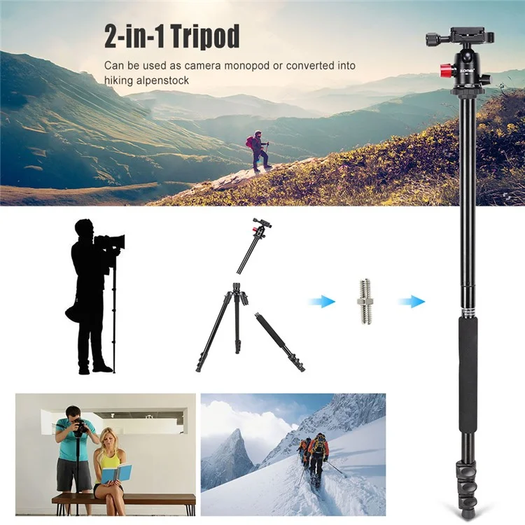 ZOMEI M6 Camera Tripod Mobile Phone Live Broadcast Bracket Aluminum Alloy 4-Section Tripod Stand