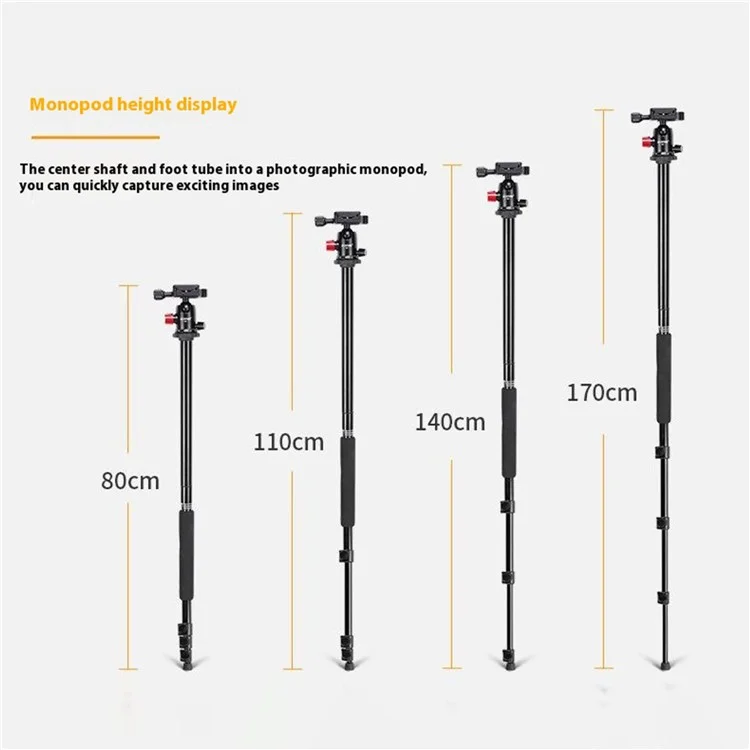 ZOMEI M6 Camera Tripod Mobile Phone Live Broadcast Bracket Aluminum Alloy 4-Section Tripod Stand