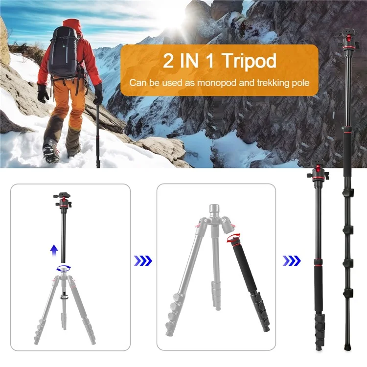 ZOMEI Q200 Kamera-Stativ Fotografie-Ständer Umklappbar für Handy-Kamera Live-Streaming Halterung