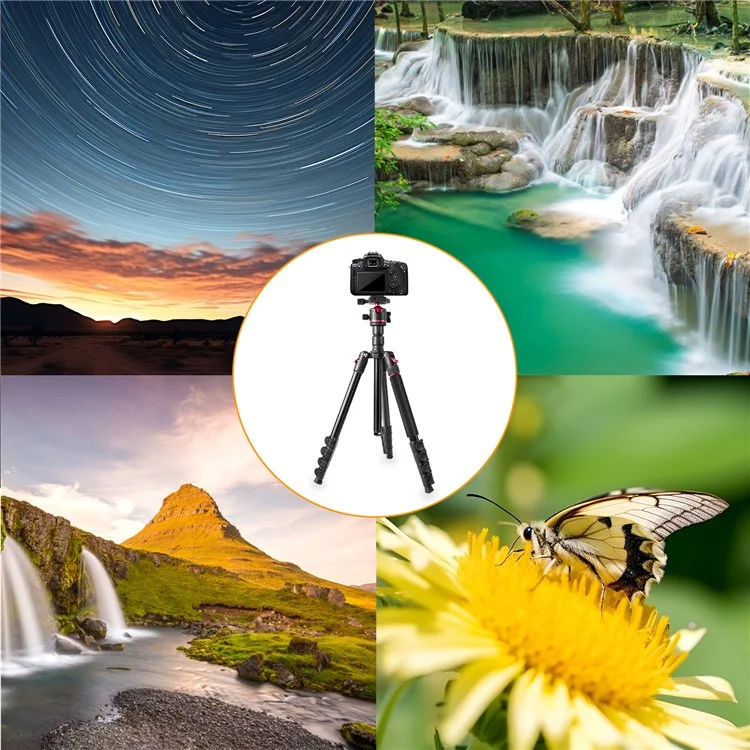 ZOMEI Q200 Kamera-Stativ Fotografie-Ständer Umklappbar für Handy-Kamera Live-Streaming Halterung
