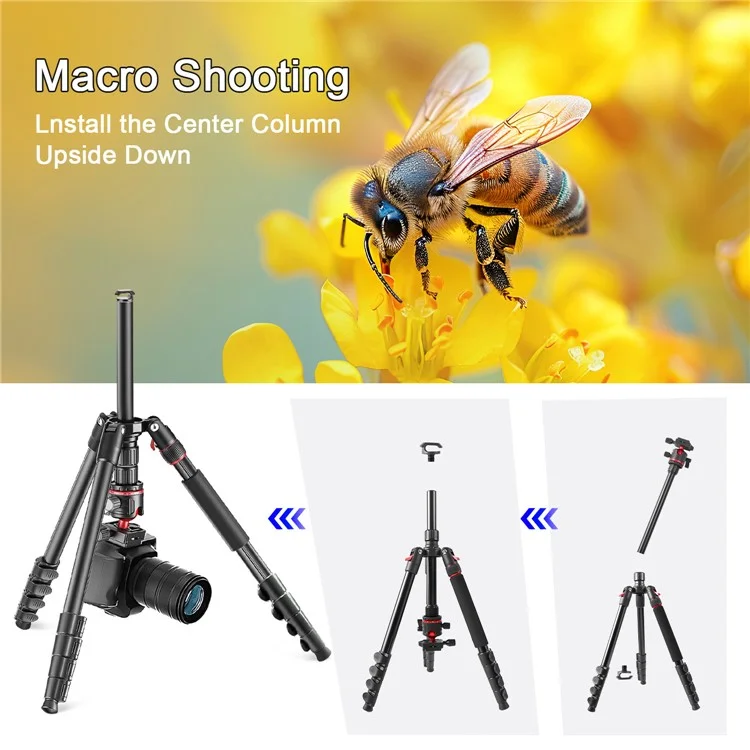 ZOMEI Q200 Kamera-Stativ Fotografie-Ständer Umklappbar für Handy-Kamera Live-Streaming Halterung