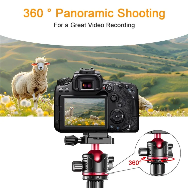 ZOMEI Q200 Kamera-Stativ Fotografie-Ständer Umklappbar für Handy-Kamera Live-Streaming Halterung
