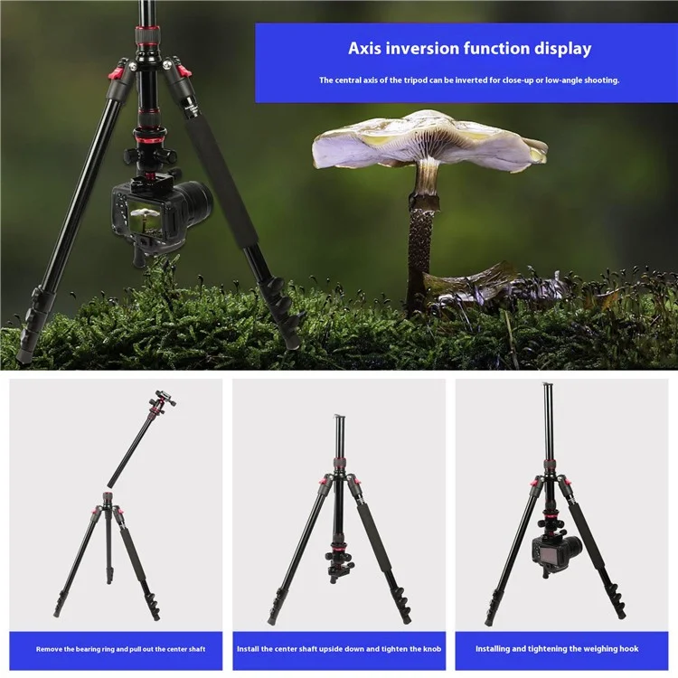 UEGOGO C11 Kamera-Stativ für Fotografie und Videoaufnahmen, Smartphone Live-Streaming Halterung - Schwarz+Rot