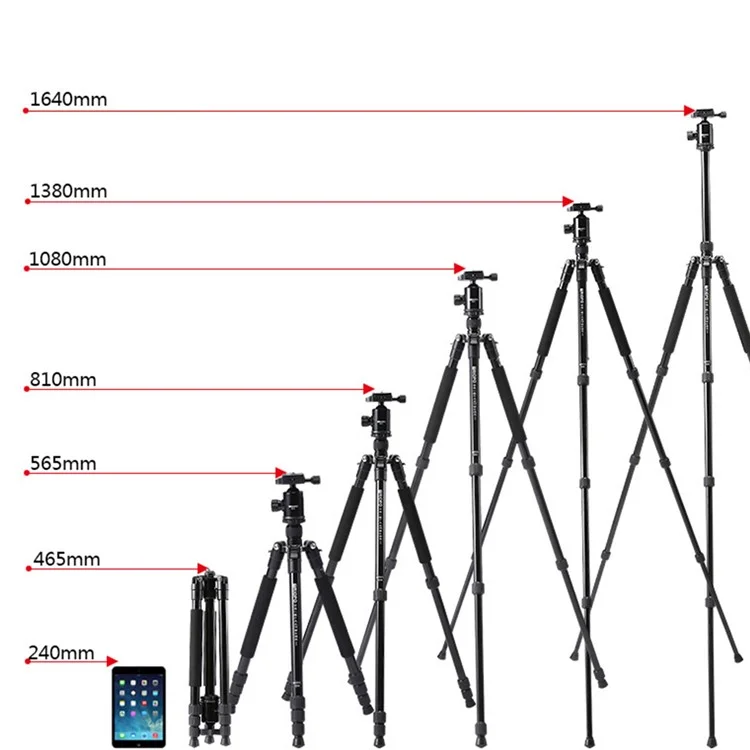 TRIOPO M2508+D-2A Portable Travel Adjustable Aluminium Camera Tripod Accessories Stand with Pan Tilt Head