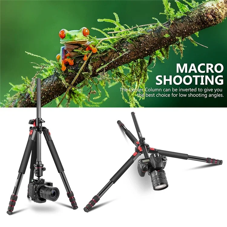 NEEWER N284 Trépied Appareil Photo Monopode 184cm avec Colonne Centrale et Tête Sphérique, Charge Maximale: 15kg