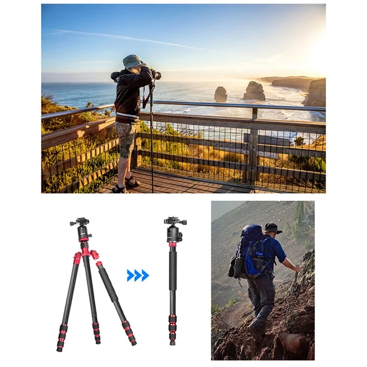 NEEWER N55CR SLR Camera Mobile Phone Live Streaming Monopod Tripod Carbon Fiber Photography Tripod Stand
