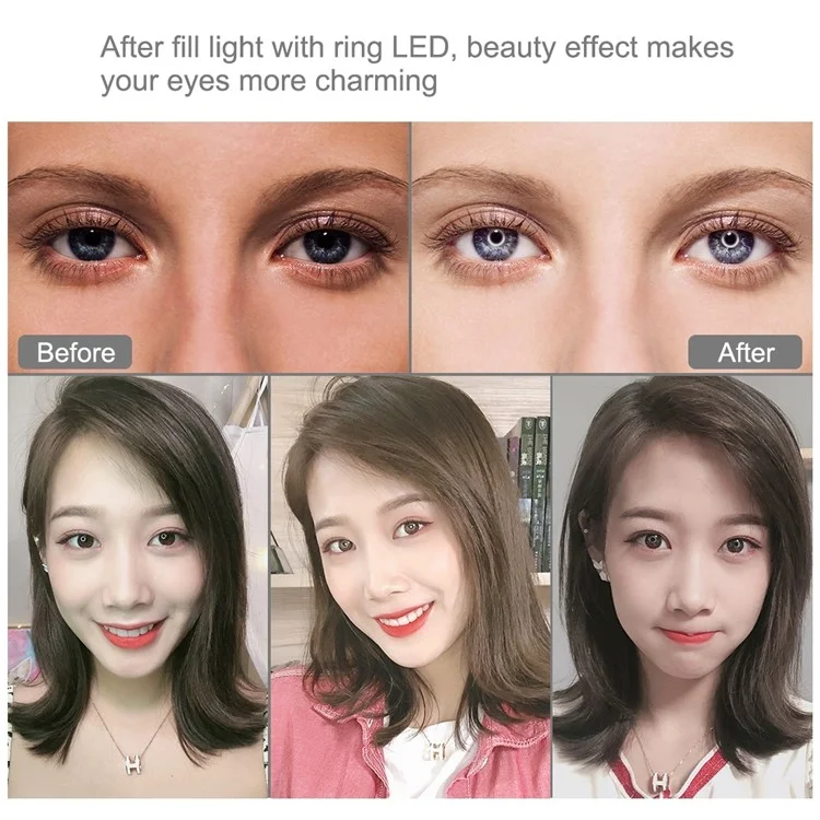 PULUZ PKT3066B 10,2 pouces LED Selfie Anneau Lumière Support de Téléphone Portable Trépied pour Youtube Blogger Prise de Vue Vidéo