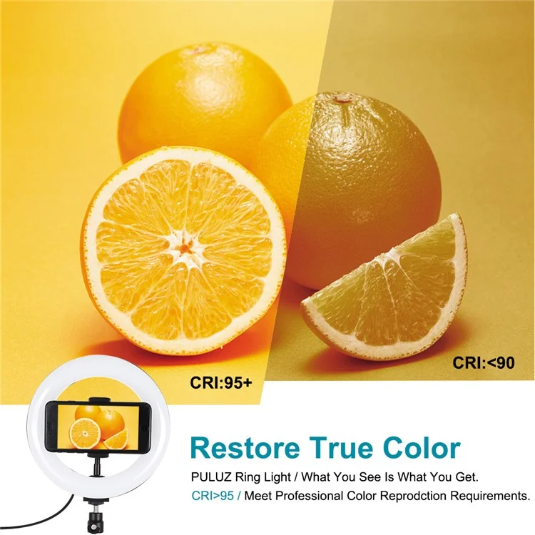 PULUZ PKT3078B 7,9 Pouces 20 cm USB Doumable Dual Color Temperature LED Light Avec Pince Téléphonique + Support de Bureau Rond