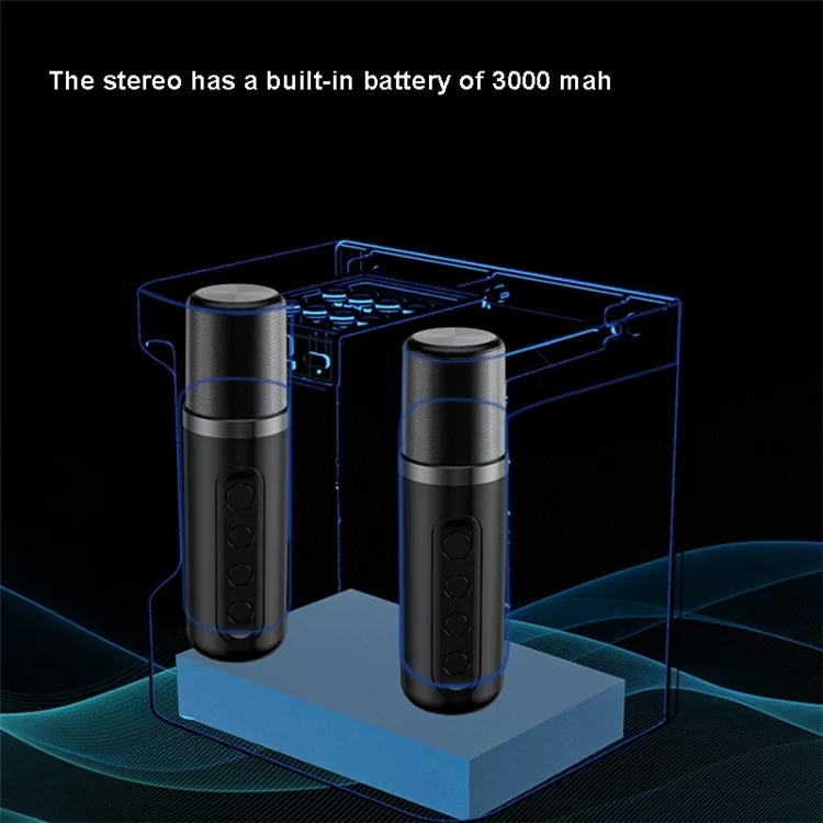 YS-207 Portable Bluetooth-compatible Speaker with 2 Microphones Wireless Rechargeable Sound Amp Device for Singing - Black