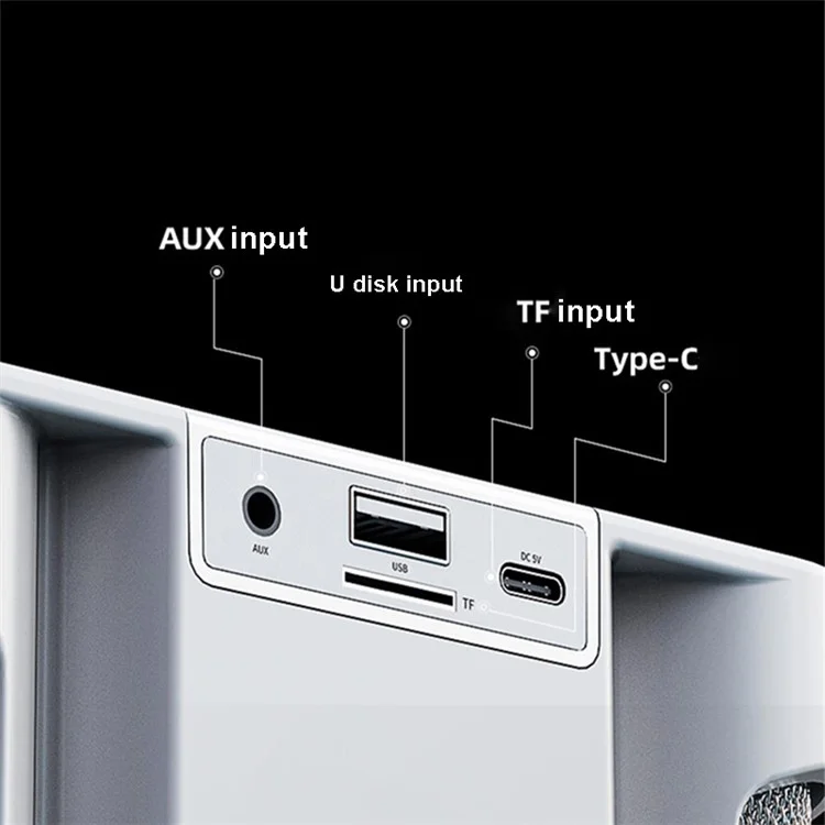 YS-207 Portable Bluetooth-compatible Speaker with 2 Microphones Wireless Rechargeable Sound Amp Device for Singing - Black