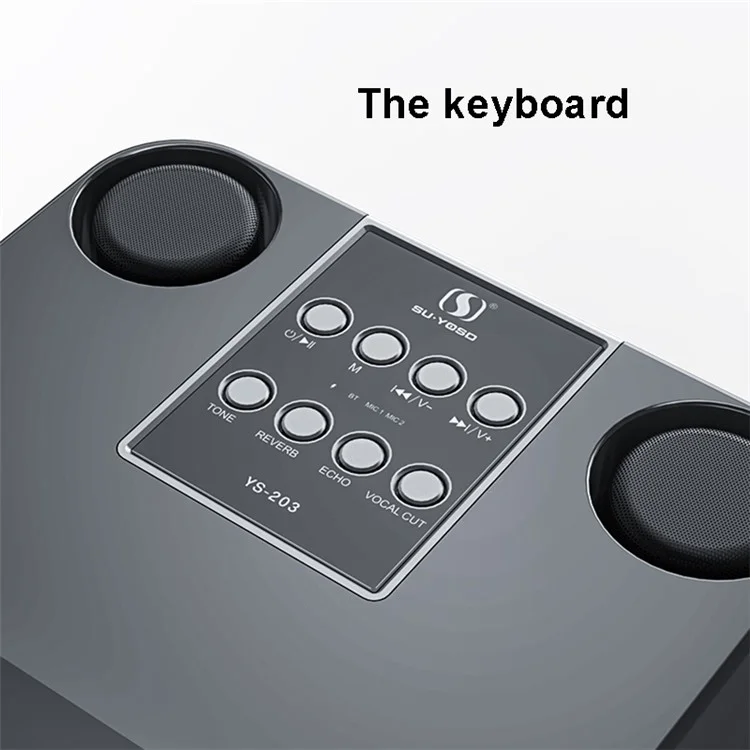 YS-207 Portable Bluetooth-compatible Speaker with 2 Microphones Wireless Rechargeable Sound Amp Device for Singing - Black