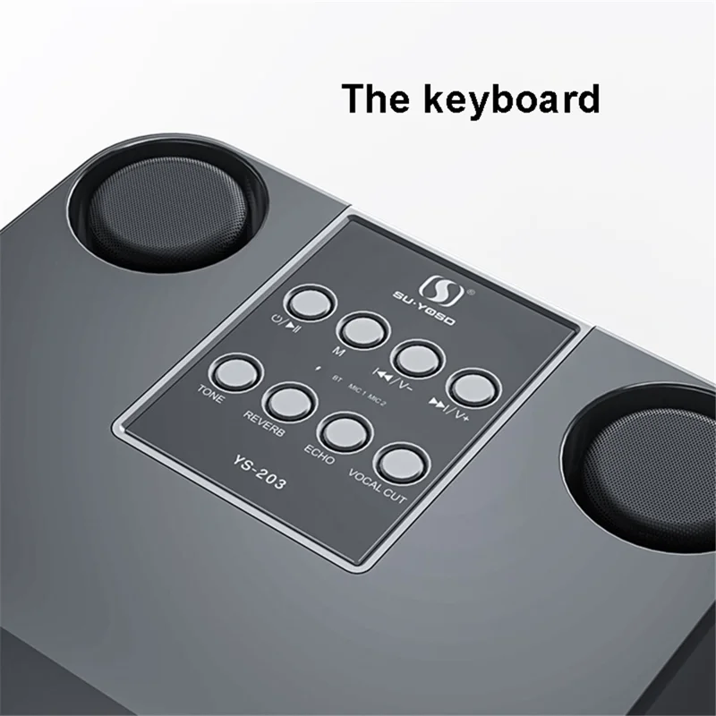 YS-213 Portable Speaker Bluetooth-compatible Sound Speaker with 2 Wireless Microphones Support Rechargeable for Indoor Outdoor Singing - Gold