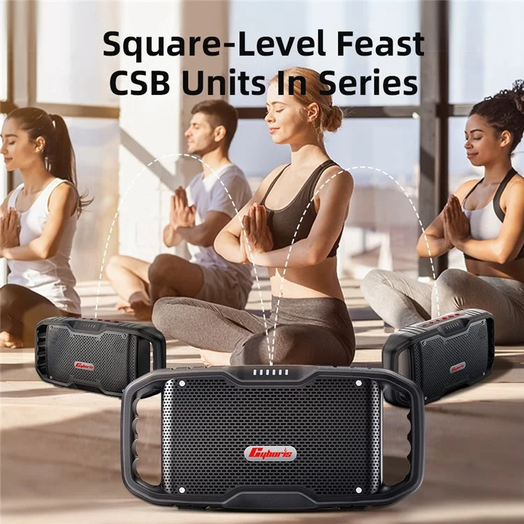 CYBORIS X10 120W Bluetooth-compatible 5.3 Speaker 2 Tweeter+2 Woofer Portable Subwoofer Waterproof Sound Box