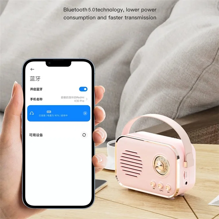 P33 Plus FM-Radio Bluetooth-Lautsprecher mit kabellosem Mikrofon Karaoke-Maschine für zu Hause - Pink