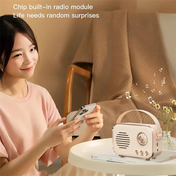P33 Plus FM-Radio Bluetooth-Lautsprecher mit kabellosem Mikrofon Karaoke-Maschine für zu Hause - Pink